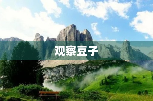 观察豆子 观察豆子