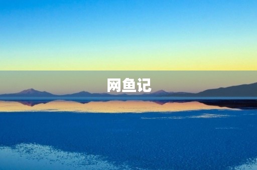网鱼记