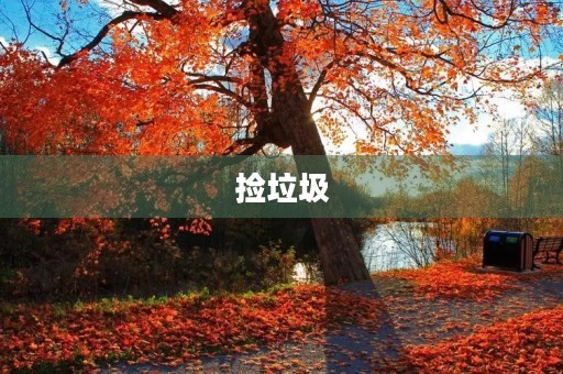 捡垃圾