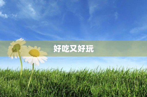 好吃又好玩 好吃又好玩