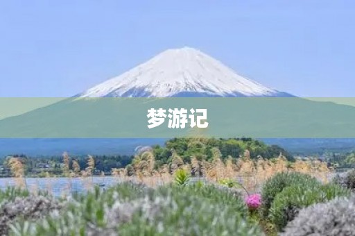 梦游记 梦游记