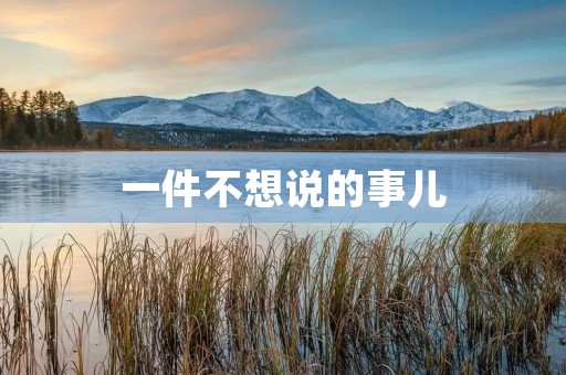 一件不想说的事儿 一件不想说的事儿