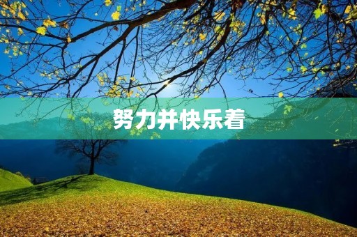 努力并快乐着 努力并快乐着