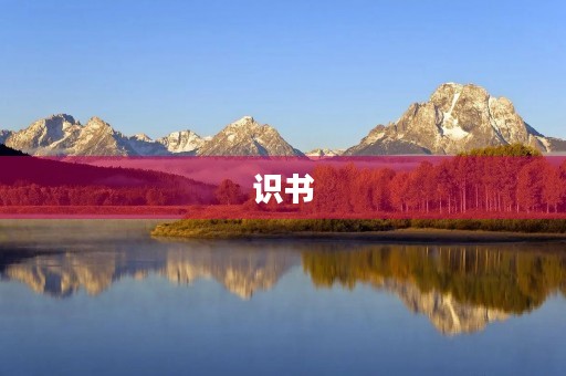 识书 识书