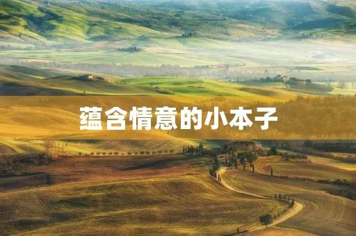蕴含情意的小本子 蕴含情意的小本子