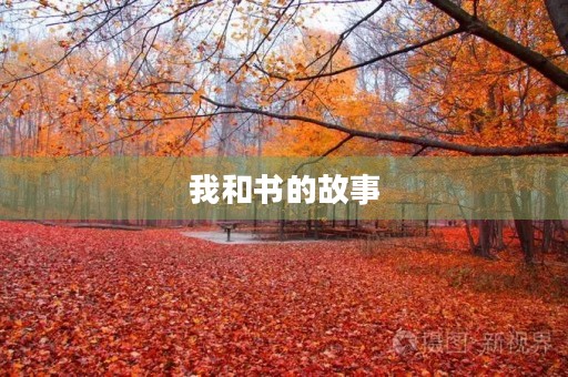 我和书的故事 我和书的故事