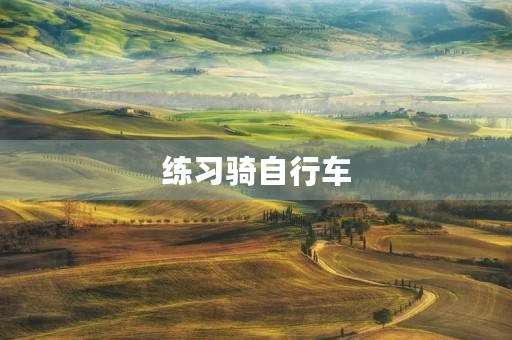 练习骑自行车 练习骑自行车