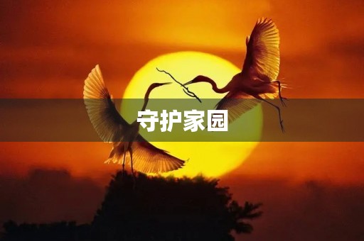守护家园