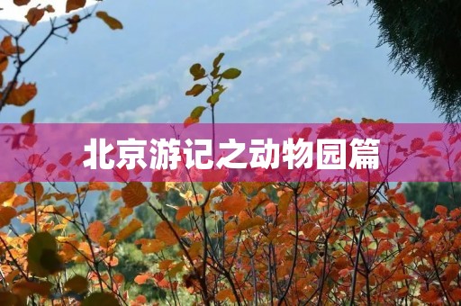 北京游记之动物园篇 北京游记之动物园篇