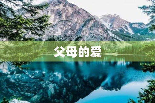 父母的爱 父母的爱