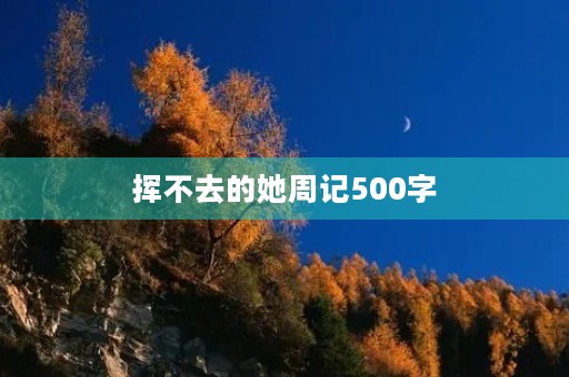 挥不去的她周记500字 挥不去的她周记500字