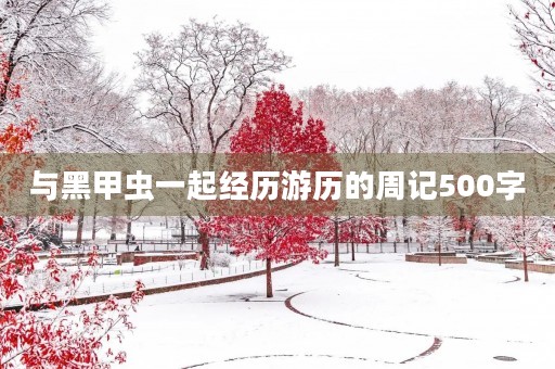 与黑甲虫一起经历游历的周记500字 与黑甲虫一起经历游历的周记500字