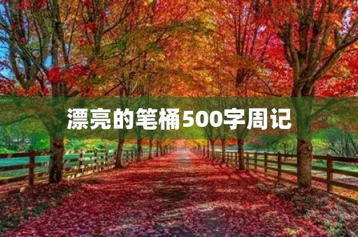 漂亮的笔桶500字周记 漂亮的笔桶500字周记