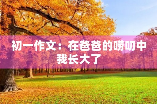 初一作文：在爸爸的唠叨中我长大了