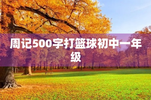 周记500字打篮球初中一年级