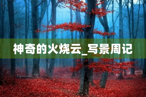 神奇的火烧云_写景周记 神奇的火烧云_写景周记