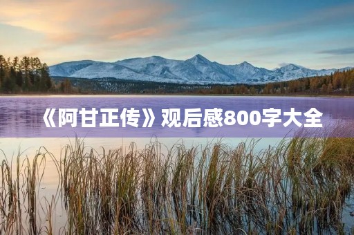 《阿甘正传》观后感800字大全 《阿甘正传》观后感800字大全