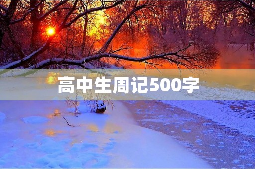 高中生周记500字