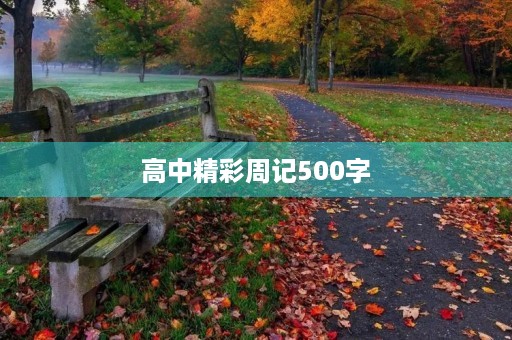 高中精彩周记500字 高中精彩周记500字