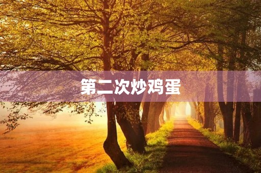 第二次炒鸡蛋 第二次炒鸡蛋