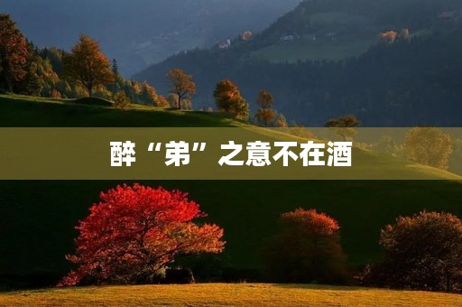 醉“弟”之意不在酒 醉“弟”之意不在酒