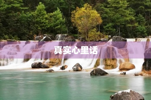 真实心里话 真实心里话