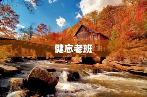 健忘老班
