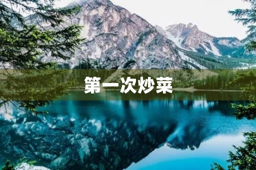 第一次炒菜 第一次炒菜