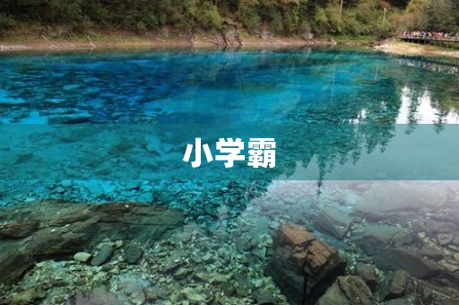 小学霸 小学霸