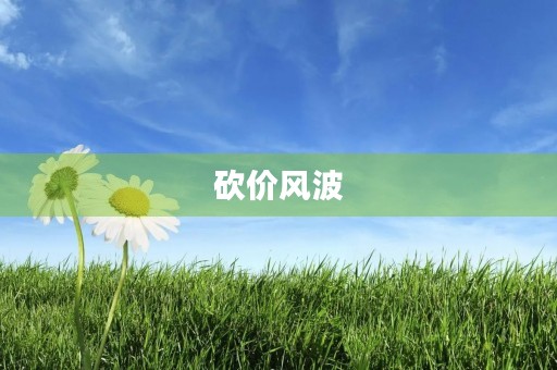砍价风波 砍价风波