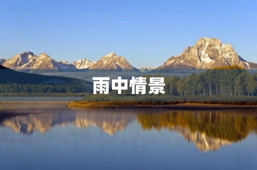 雨中情景 雨中情景
