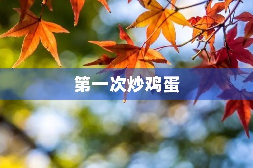 第一次炒鸡蛋 第一次炒鸡蛋