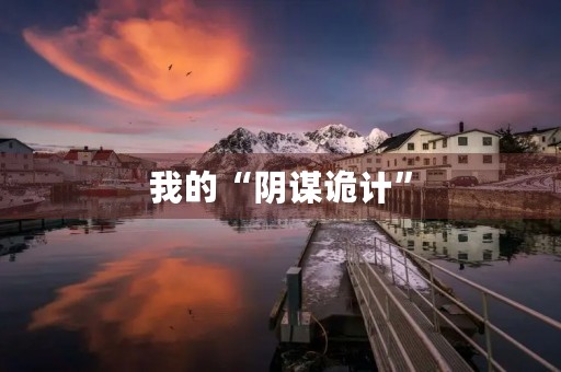 我的“阴谋诡计” 我的“阴谋诡计”