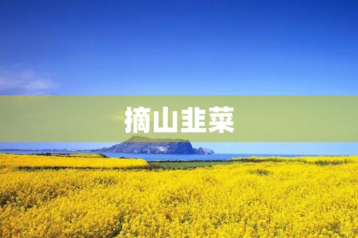 摘山韭菜 摘山韭菜