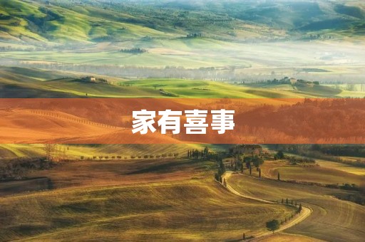 家有喜事 家有喜事