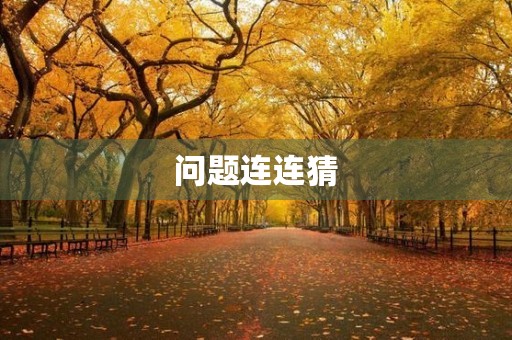 问题连连猜 问题连连猜