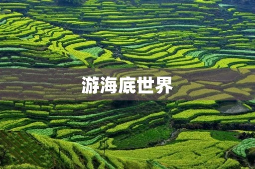 游海底世界