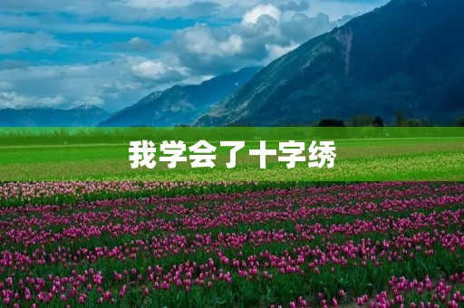 我学会了十字绣 我学会了十字绣