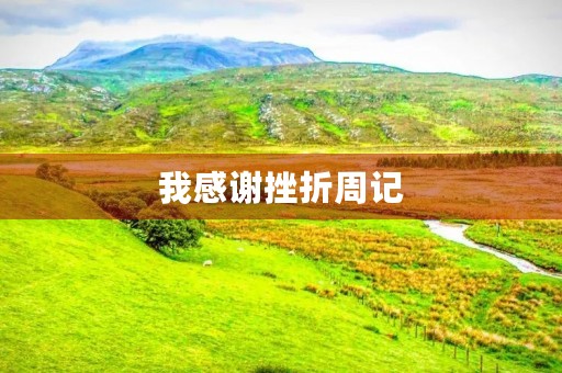 我感谢挫折周记