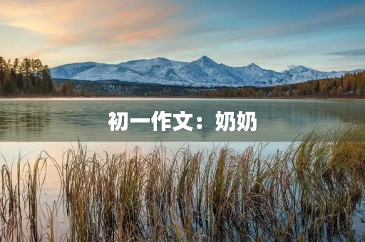 初一作文:奶奶 初一作文:奶奶