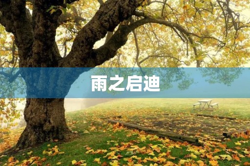 雨之启迪 雨之启迪