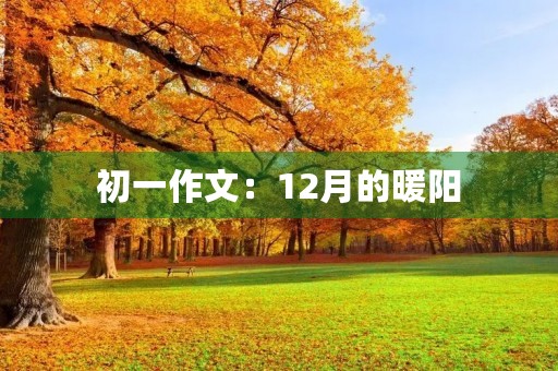 初一作文：12月的暖阳