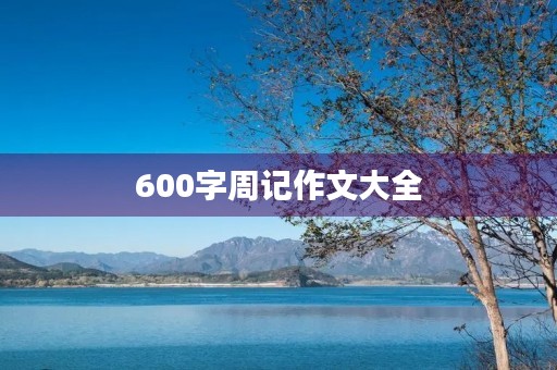 600字周记作文大全