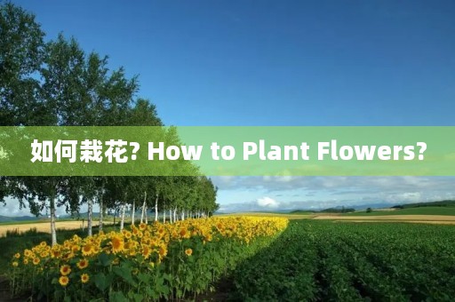 如何栽花? How to Plant Flowers? 如何栽花? How to Plant Flowers?