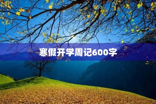 寒假开学周记600字 寒假开学周记600字