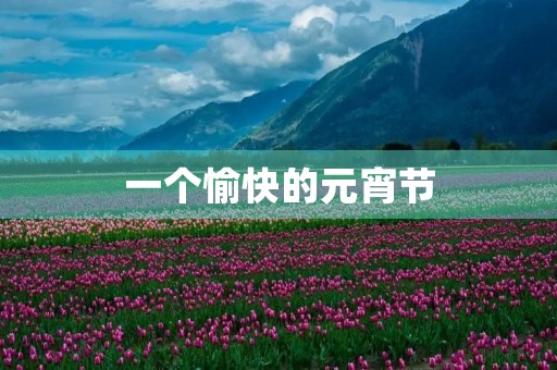 一个愉快的元宵节
