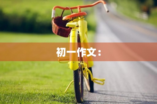 初一作文：【发现征文】社会调查