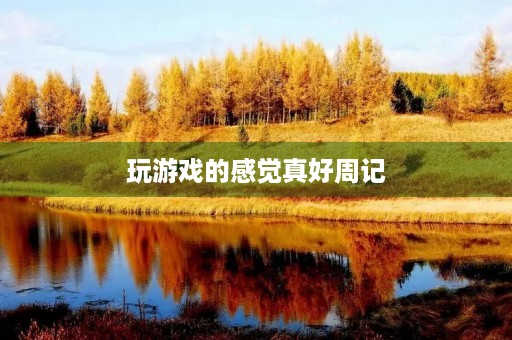玩游戏的感觉真好周记 玩游戏的感觉真好周记