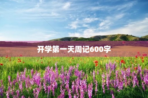 开学第一天周记600字 开学第一天周记600字