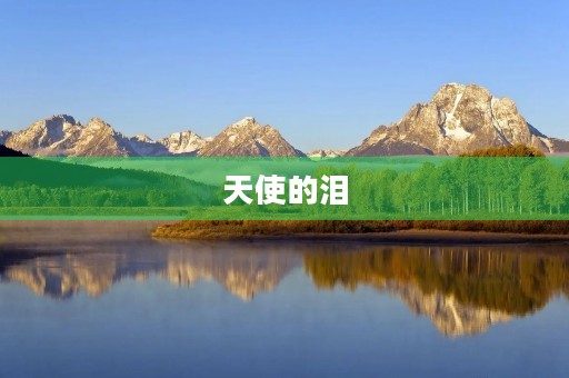 天使的泪